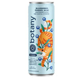 Collective Arts Non-Alcoholic Botany Balance Adaptogenic Elixir - Blueberry, Mango, Acai